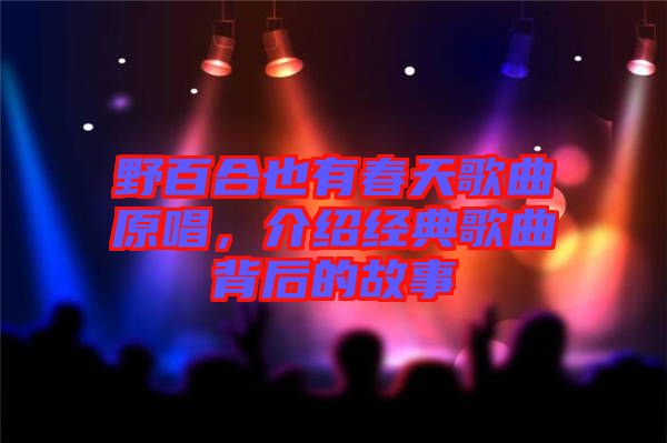 野百合也有春天歌曲原唱，介紹經(jīng)典歌曲背后的故事