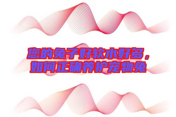 您的兔子好軟水好多，如何正確養(yǎng)護(hù)寵物兔