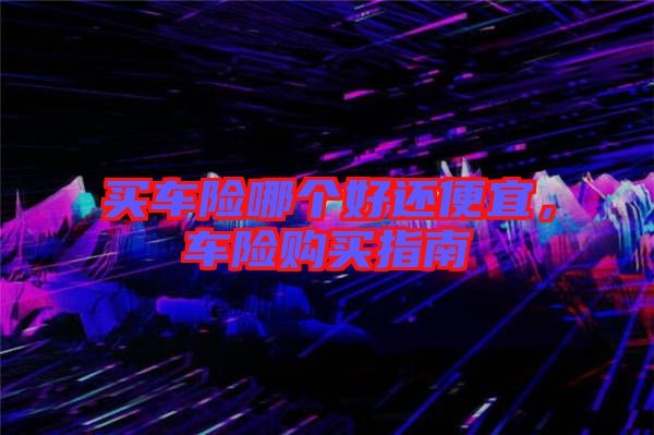 買車險哪個好還便宜，車險購買指南