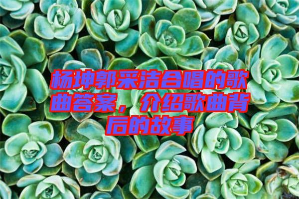 楊坤郭采潔合唱的歌曲答案，介紹歌曲背后的故事