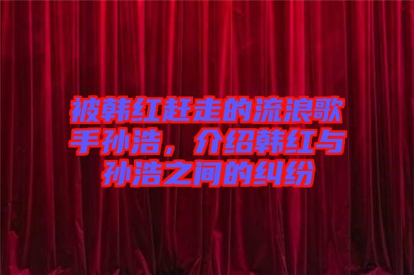 被韓紅趕走的流浪歌手孫浩，介紹韓紅與孫浩之間的糾紛