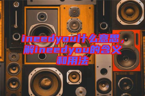 ineedyou什么意思，解ineedyou的含義和用法