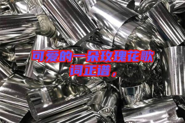 可愛的一朵玫瑰花歌詞正譜，
