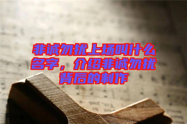 非誠(chéng)勿擾上場(chǎng)叫什么名字，介紹非誠(chéng)勿擾背后的制作