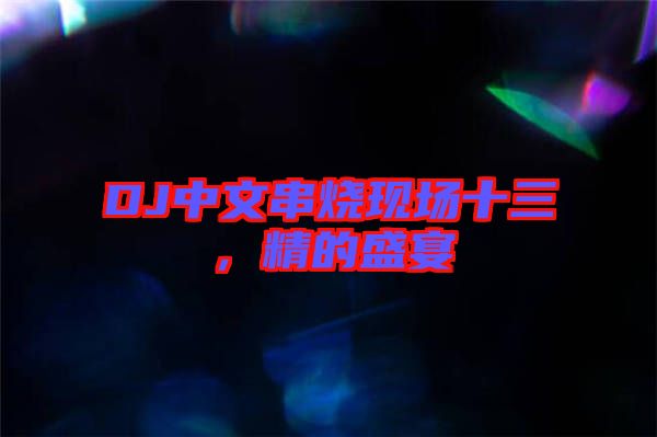 DJ中文串燒現(xiàn)場(chǎng)十三，精的盛宴