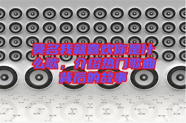 莫名我就喜歡你是什么歌，介紹熱門歌曲背后的故事
