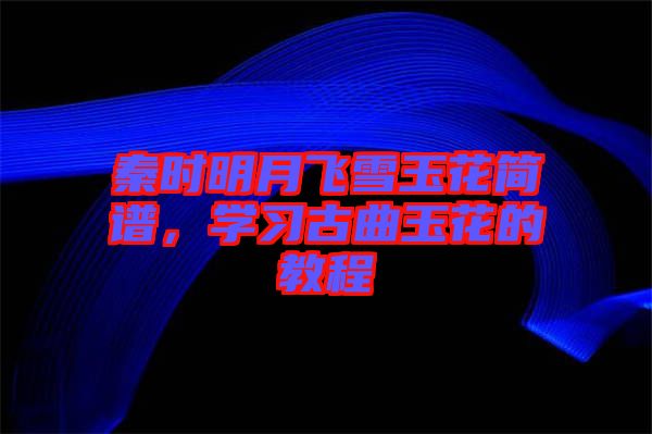 秦時(shí)明月飛雪玉花簡譜，學(xué)習(xí)古曲玉花的教程