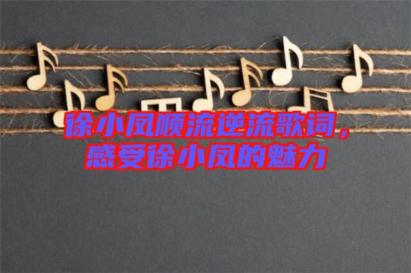 徐小鳳順流逆流歌詞，感受徐小鳳的魅力