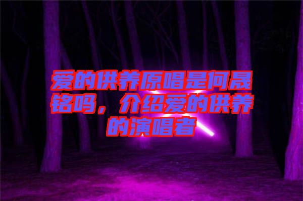 愛的供養(yǎng)原唱是何晟銘嗎，介紹愛的供養(yǎng)的演唱者