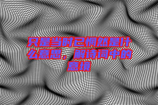 只是當時已惘然是什么意思，解詩詞中的意境