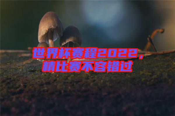 世界杯賽程2022，精比賽不容錯過