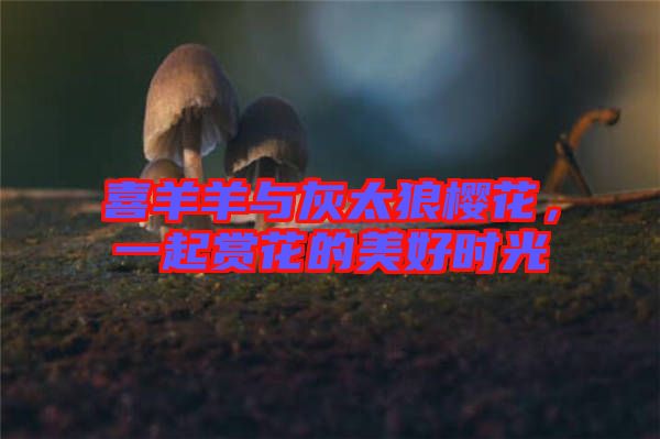 喜羊羊與灰太狼櫻花，一起賞花的美好時光