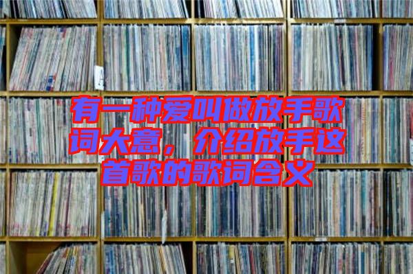 有一種愛叫做放手歌詞大意，介紹放手這首歌的歌詞含義