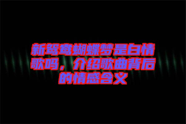 新鴛鴦蝴蝶夢是白情歌嗎，介紹歌曲背后的情感含義