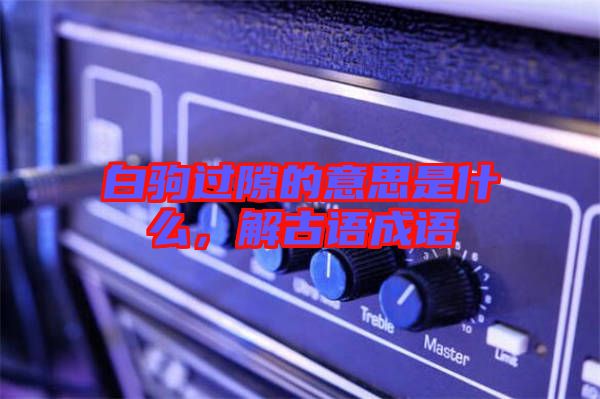 白駒過隙的意思是什么，解古語成語