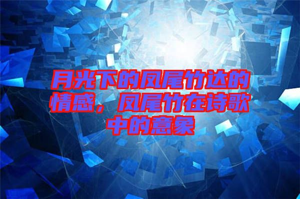 月光下的鳳尾竹達(dá)的情感，鳳尾竹在詩歌中的意象