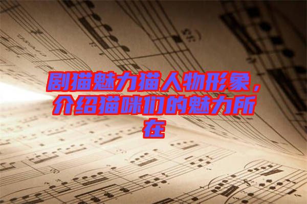 劇貓魅力貓人物形象，介紹貓咪們的魅力所在