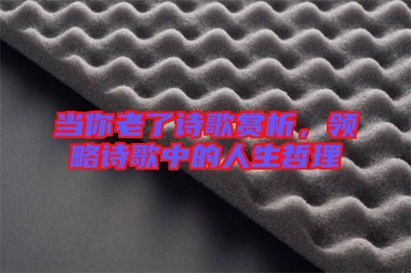 當(dāng)你老了詩歌賞析，領(lǐng)略詩歌中的人生哲理