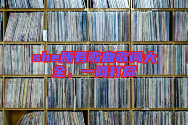 she所有歌曲歌詞大全，一網(wǎng)打盡