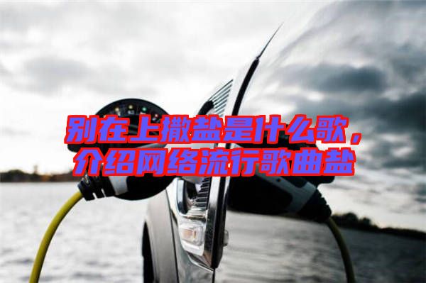 別在上撒鹽是什么歌，介紹網(wǎng)絡(luò)流行歌曲鹽