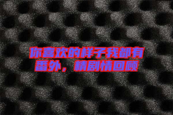 你喜歡的樣子我都有番外，精劇情回顧