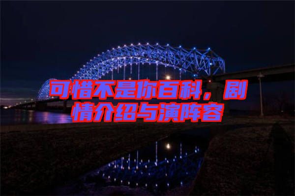 可惜不是你百科，劇情介紹與演陣容