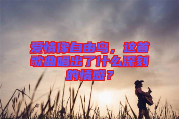 愛情像自由鳥，這首歌曲唱出了什么深刻的情感？