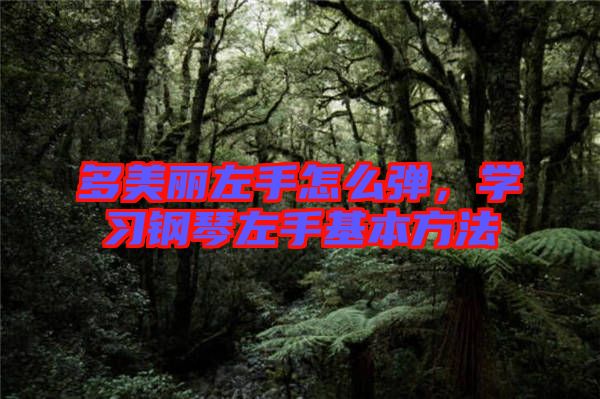 多美麗左手怎么彈，學(xué)習(xí)鋼琴左手基本方法