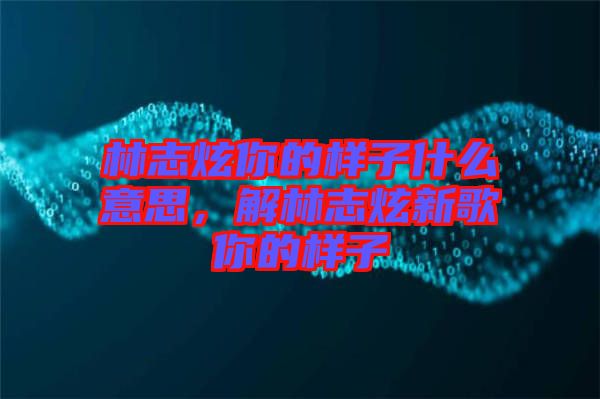 林志炫你的樣子什么意思，解林志炫新歌你的樣子