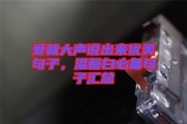 愛就大聲說出來優(yōu)美句子，溫馨白必備句子匯總
