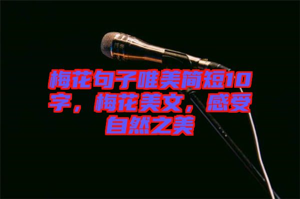 梅花句子唯美簡短10字，梅花美文，感受自然之美