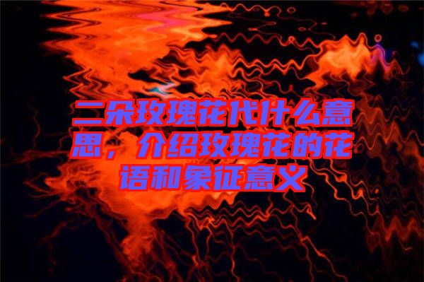 二朵玫瑰花代什么意思，介紹玫瑰花的花語(yǔ)和象征意義