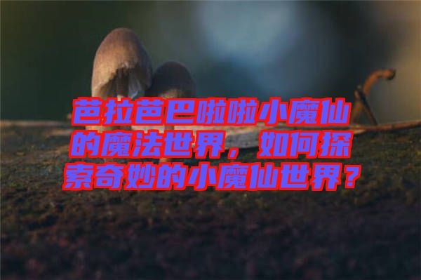 芭拉芭巴啦啦小魔仙的魔法世界，如何探索奇妙的小魔仙世界？