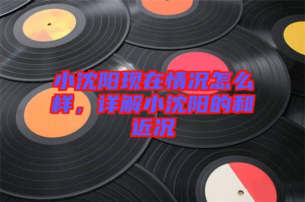 小沈陽現(xiàn)在情況怎么樣，詳解小沈陽的和近況