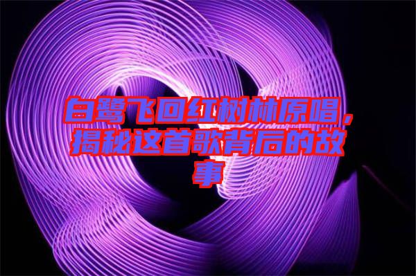 白鷺飛回紅樹林原唱，揭秘這首歌背后的故事