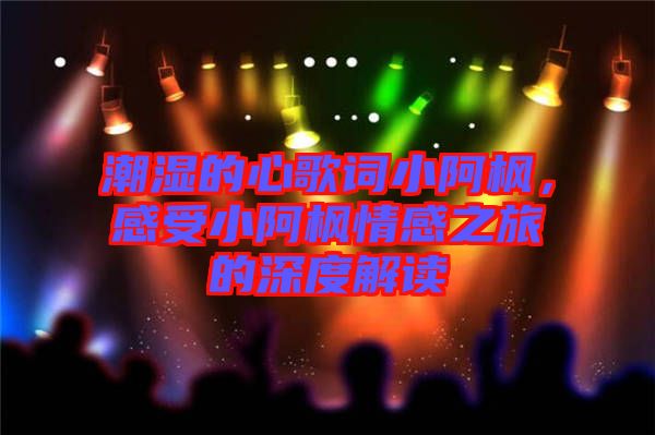 潮濕的心歌詞小阿楓，感受小阿楓情感之旅的深度解讀