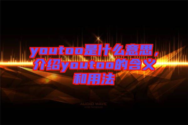 youtoo是什么意思，介紹youtoo的含義和用法