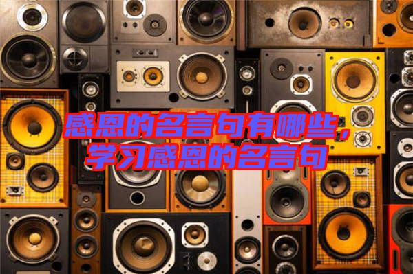 感恩的名言句有哪些，學(xué)習(xí)感恩的名言句
