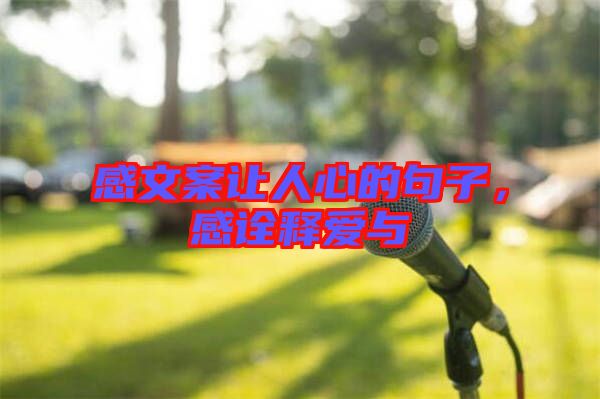 感文案讓人心的句子，感詮釋愛與