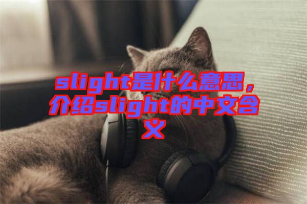 slight是什么意思，介紹slight的中文含義