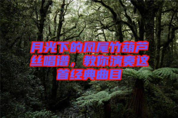 月光下的鳳尾竹葫蘆絲唱譜，教你演奏這首經(jīng)典曲目