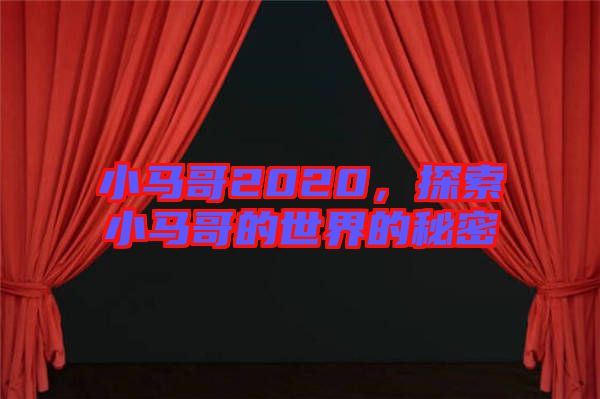 小馬哥2020，探索小馬哥的世界的秘密
