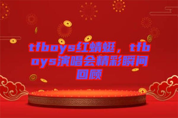 tfboys紅蜻蜓，tfboys演唱會(huì)精彩瞬間回顧