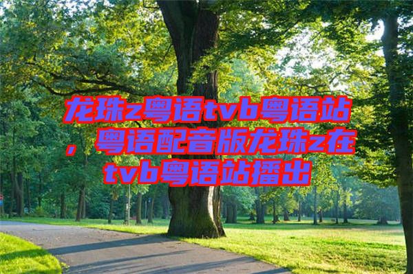 龍珠z粵語tvb粵語站，粵語配音版龍珠z在tvb粵語站播出