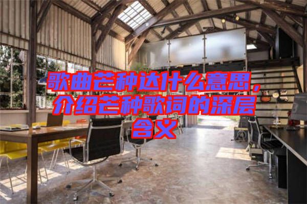 歌曲芒種達什么意思，介紹芒種歌詞的深層含義
