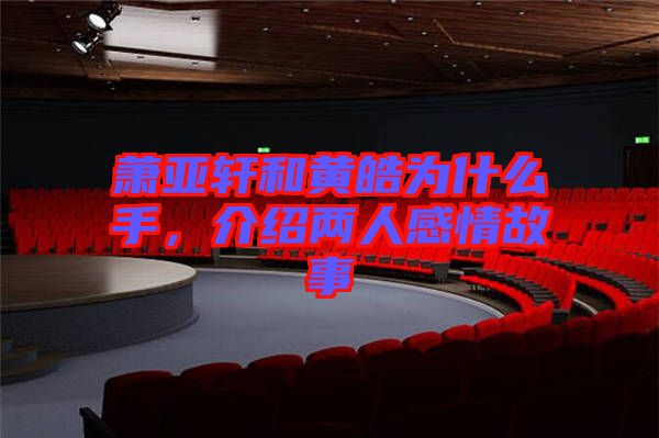 蕭亞軒和黃皓為什么手，介紹兩人感情故事
