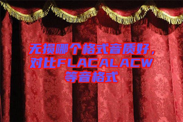 無損哪個格式音質好，對比FLACALACW等音格式