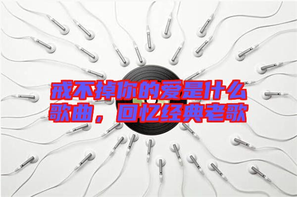 戒不掉你的愛是什么歌曲，回憶經(jīng)典老歌