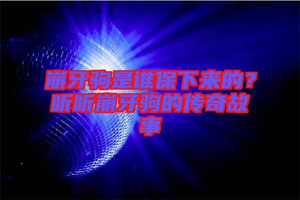 崩牙駒是誰(shuí)保下來(lái)的？聽(tīng)聽(tīng)崩牙駒的傳奇故事