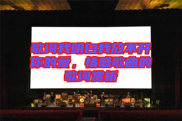 歌詞我明白我放不開你的愛，情感歌曲的歌詞賞析